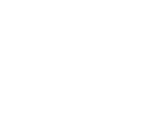 Opti Core Developers